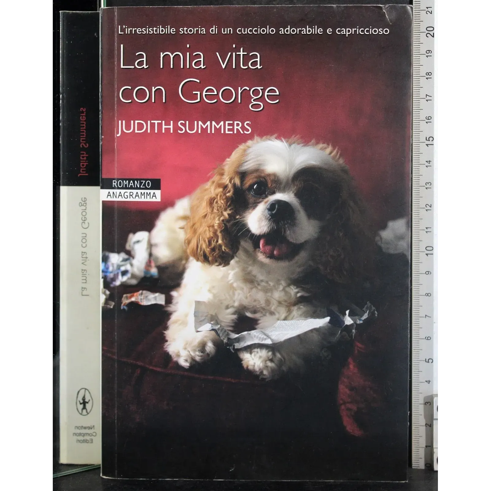 La mia vita con George