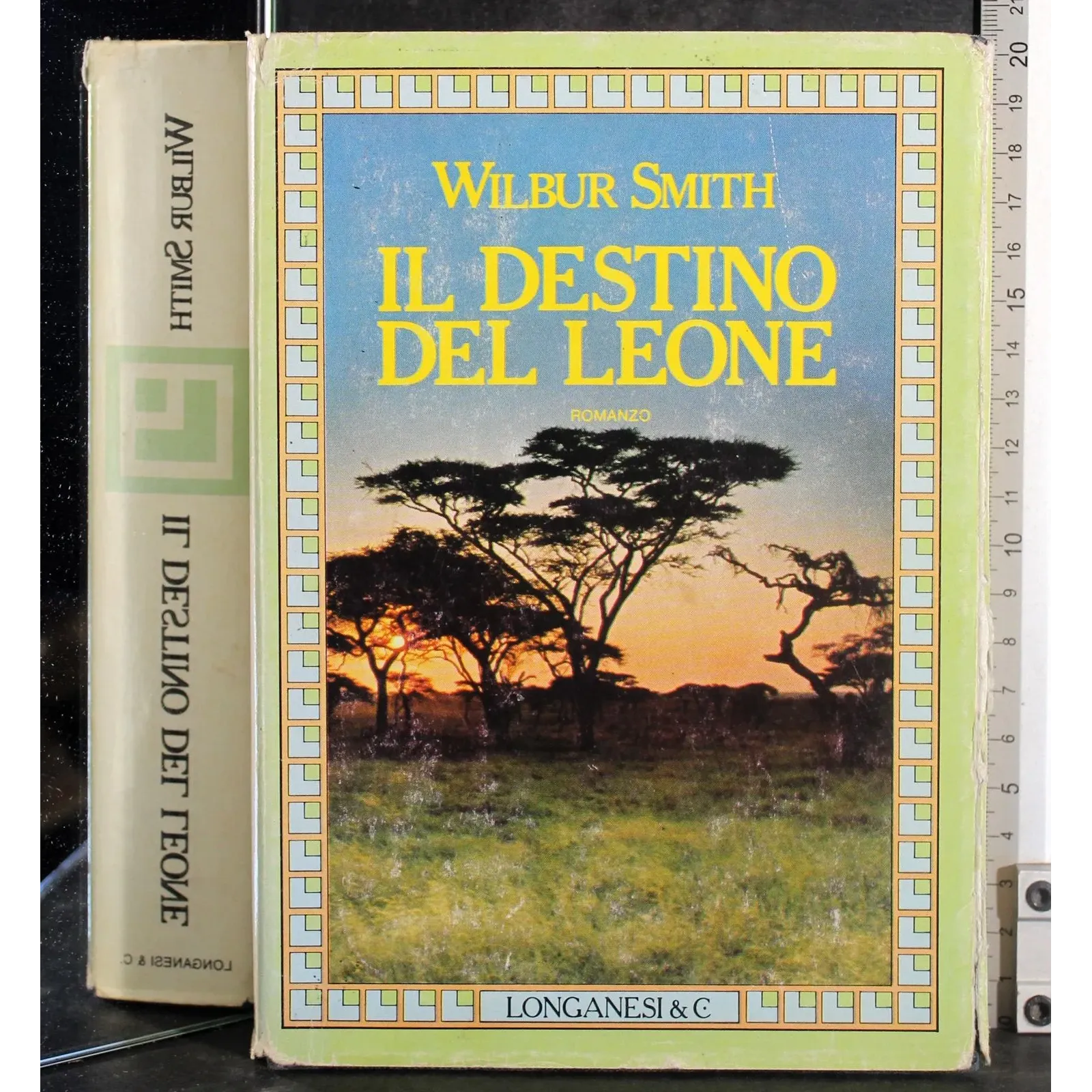 Il destino del leone