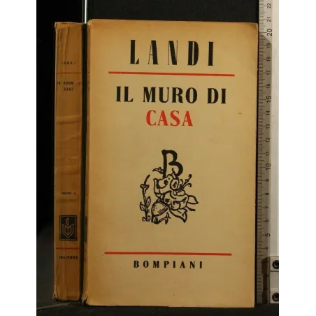 IL MURO DI CASA