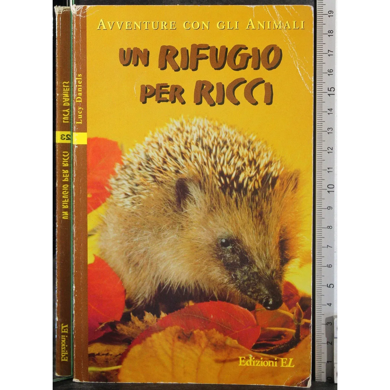 Un rifugio per ricci