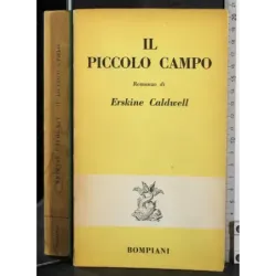 Il piccolo campo
