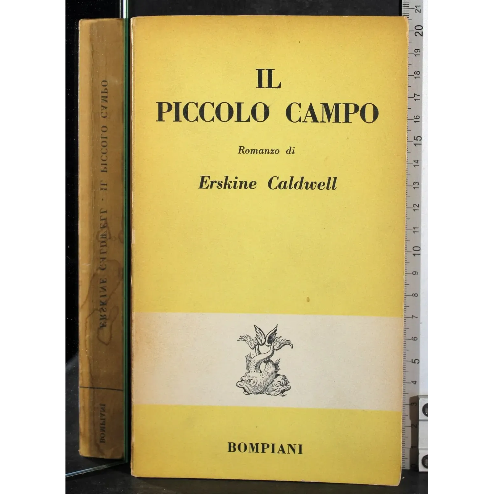 Il piccolo campo