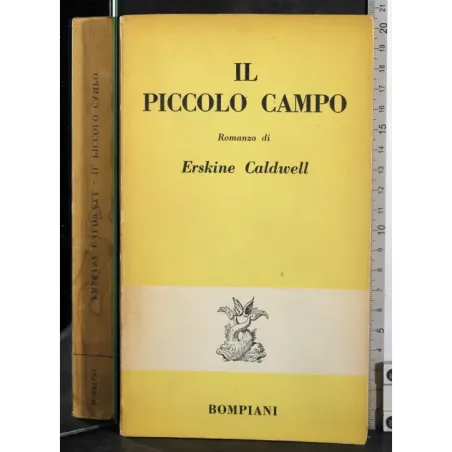 Il piccolo campo