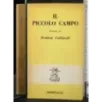Il piccolo campo