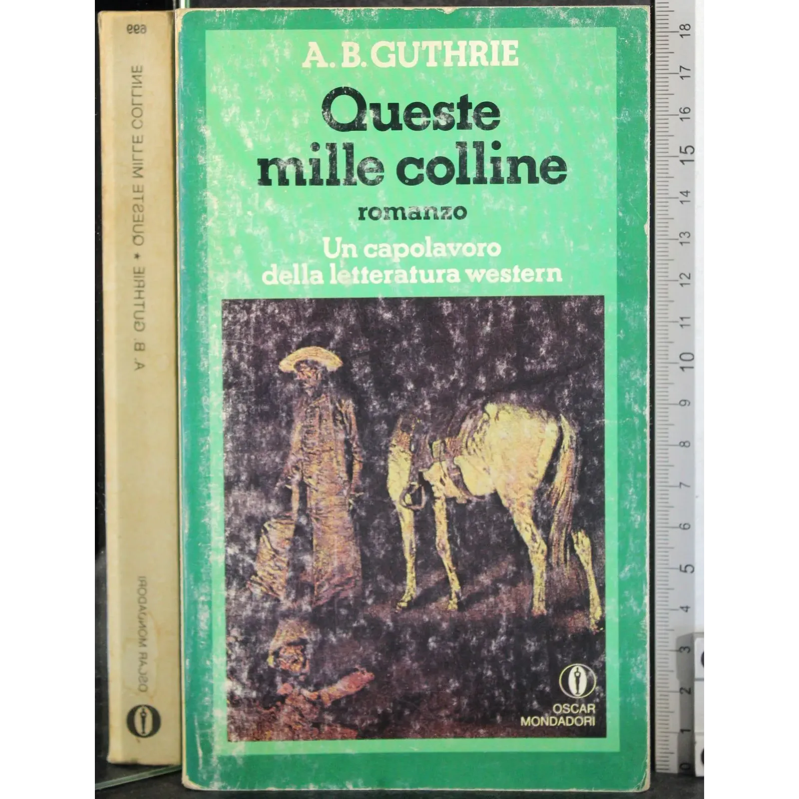 Queste mille colline