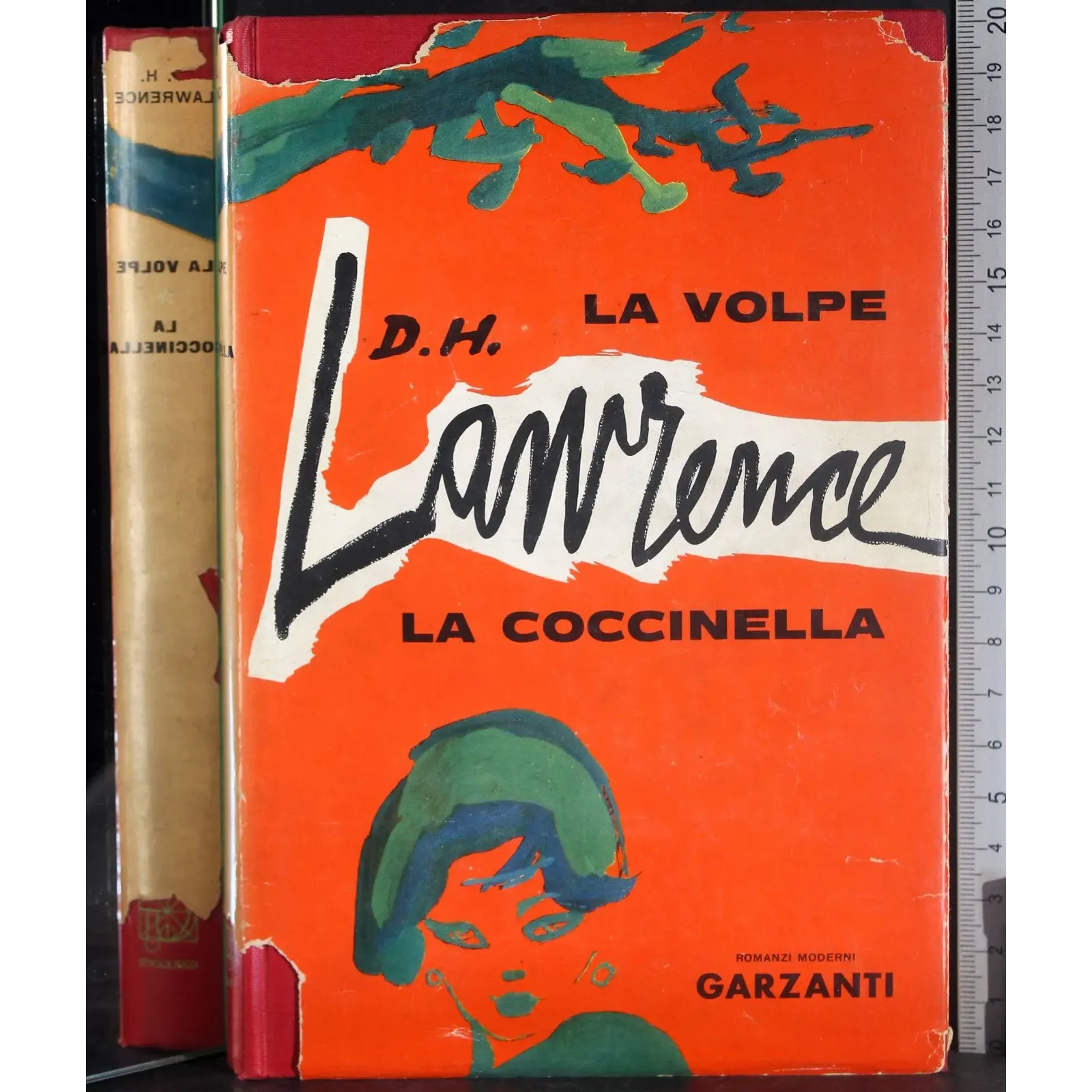 La volpe. LA Coccinella
