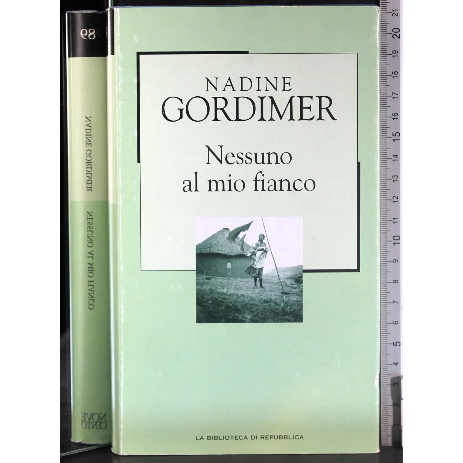 Nessuno al mio fianco
