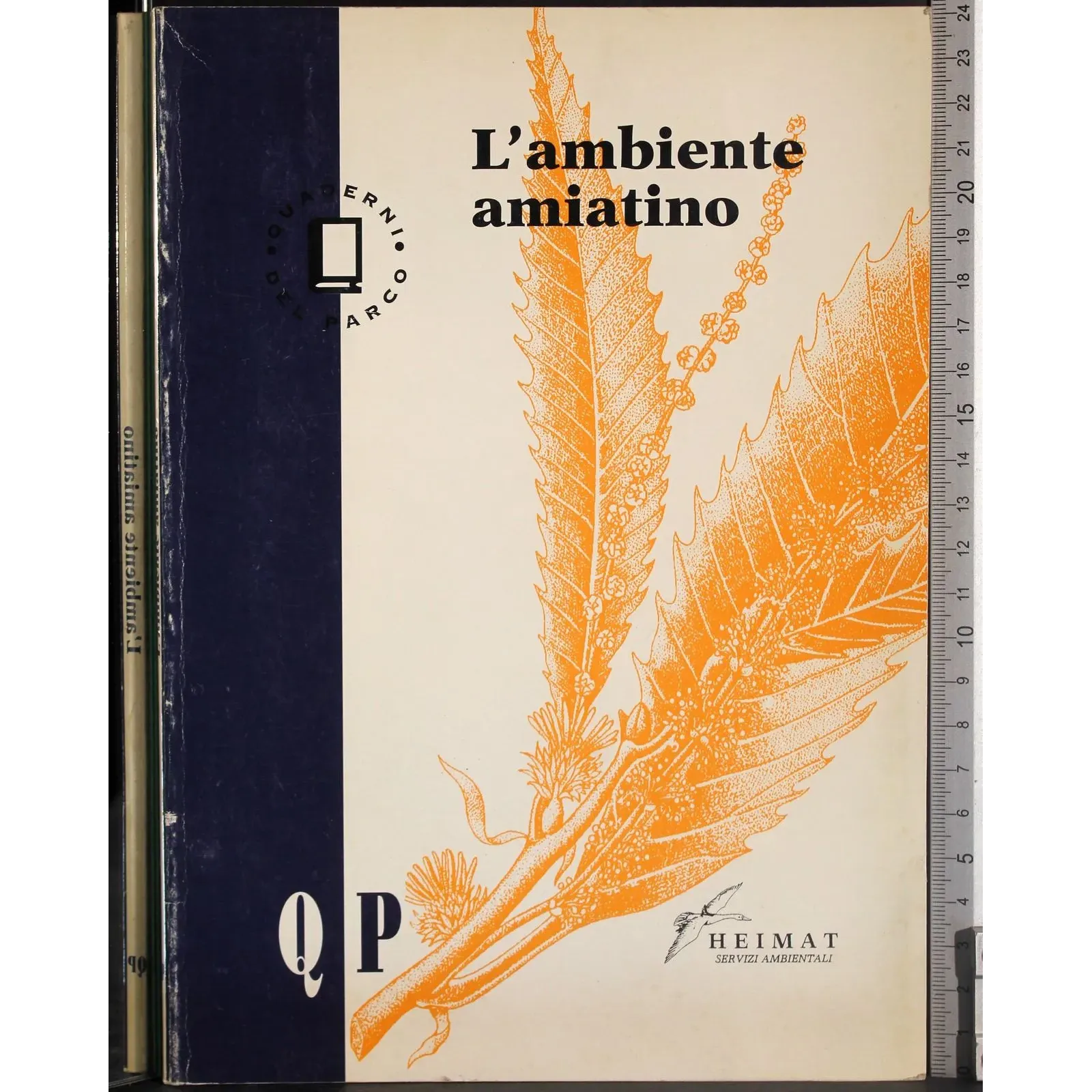 L'ambiente amiatino