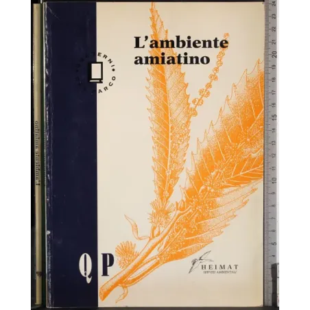 L'ambiente amiatino