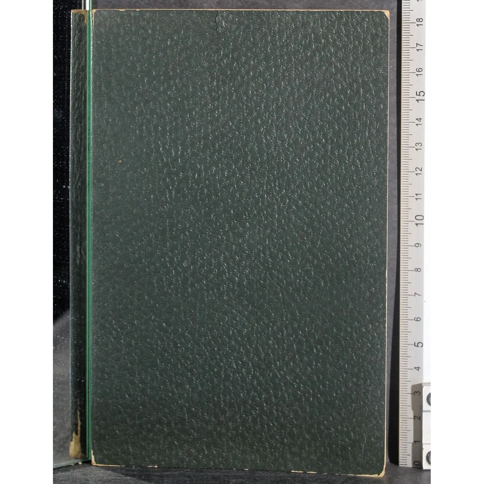 Diario di Raskolikov