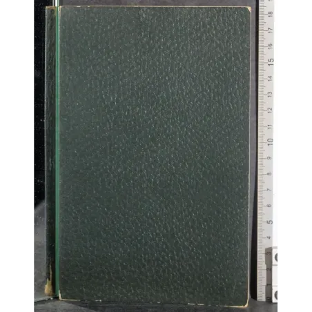 Diario di Raskolikov