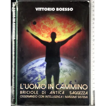 L'uomo in cammino