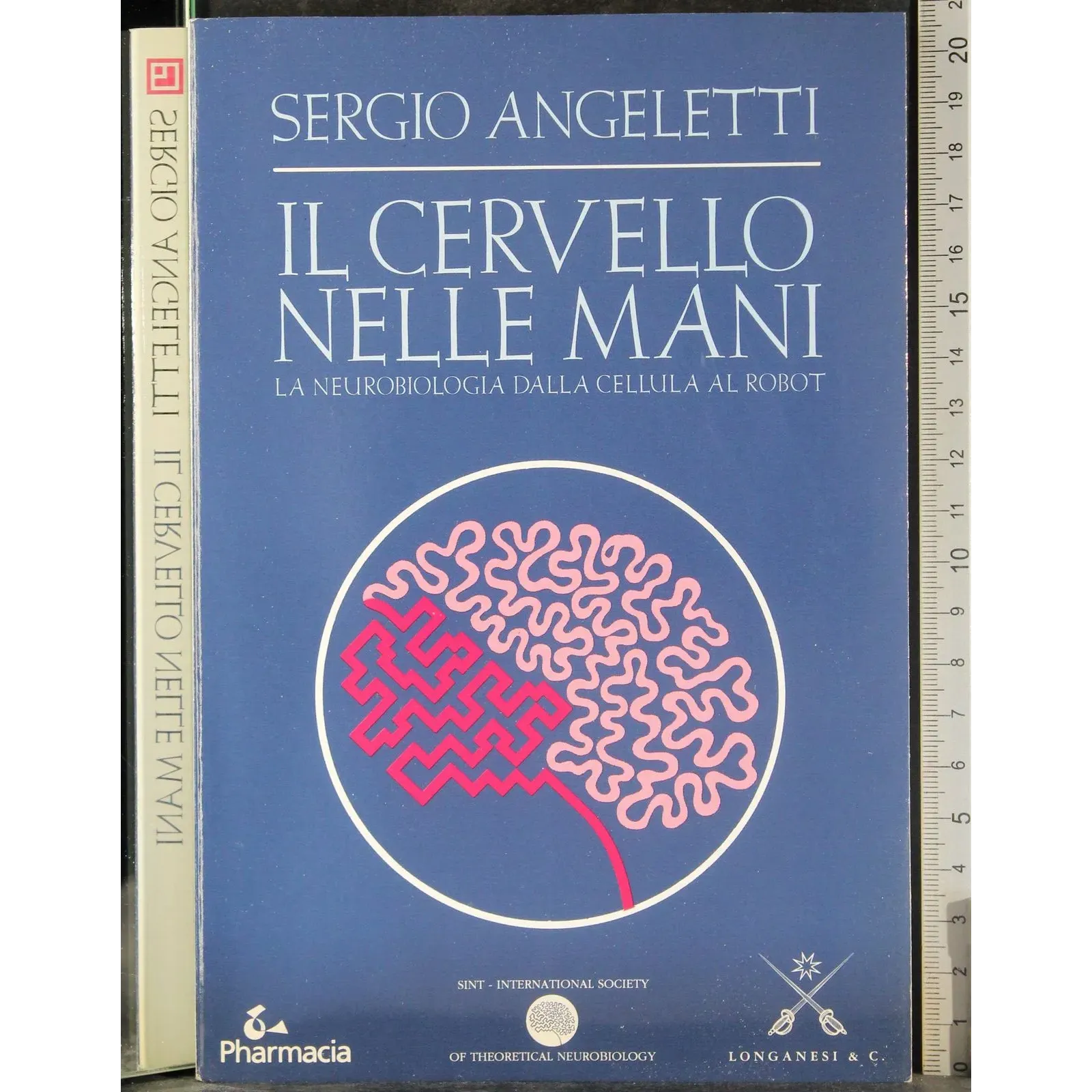 Il cervello nelle mani