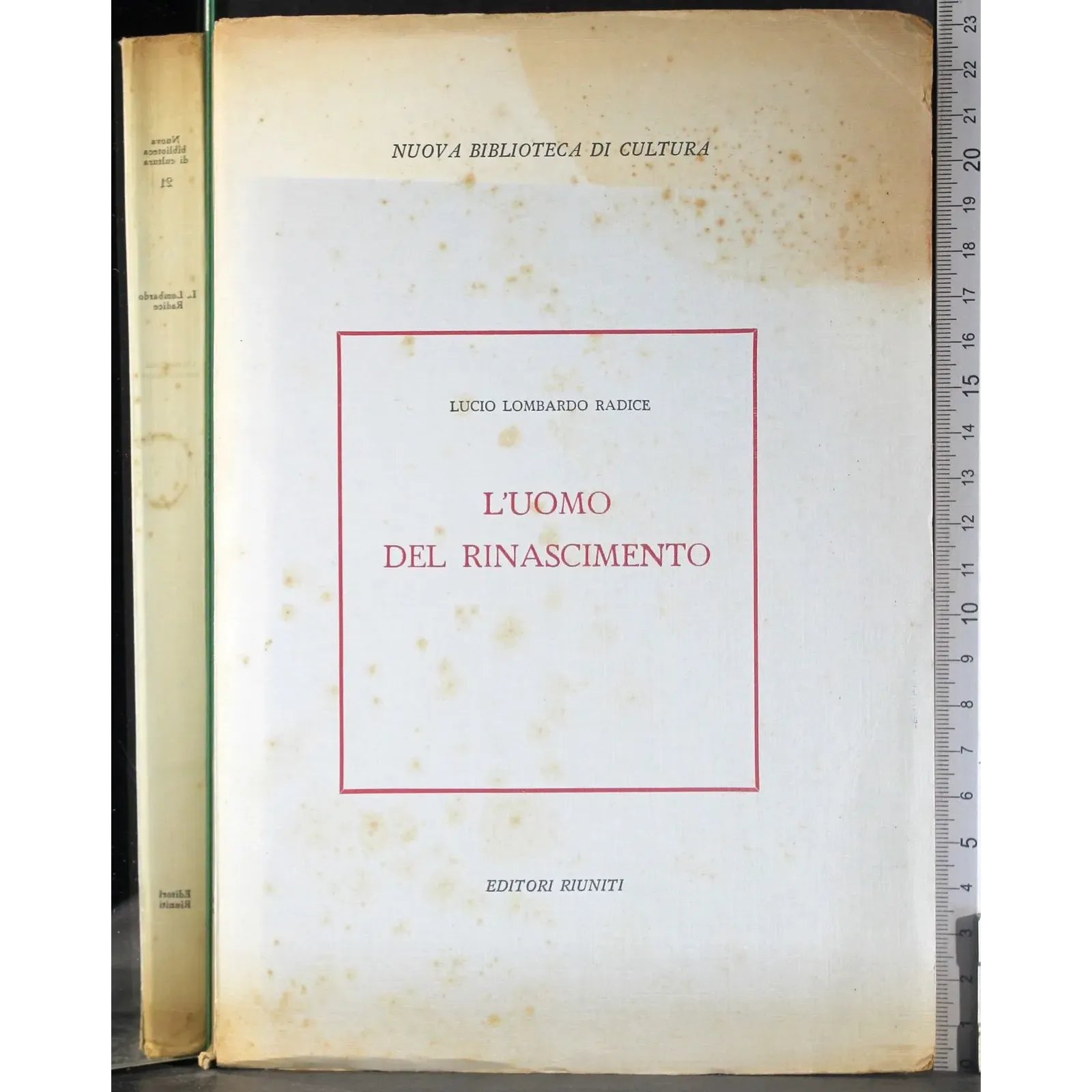 L'uomo del rinascimento