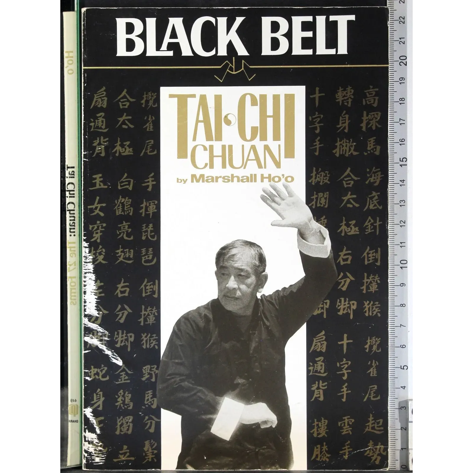 Tai-Chi Chuan
