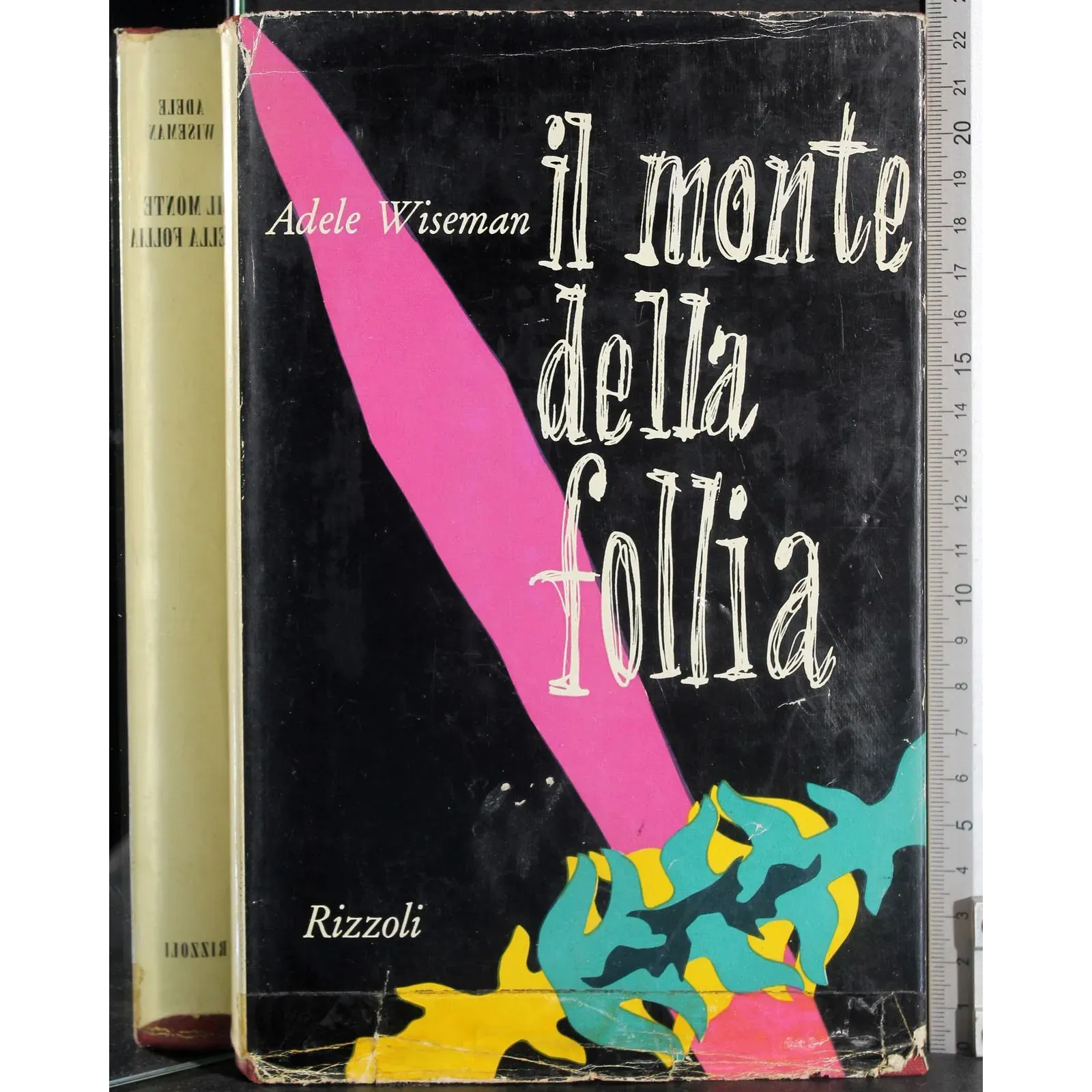 Il mopnte della follia