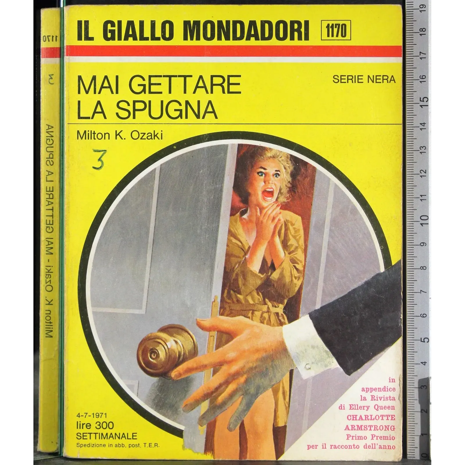 Mai gettare la spugna