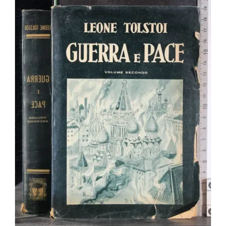 Guerra e pace. Vol 2
