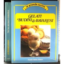 Gelati budini & Bavaresi