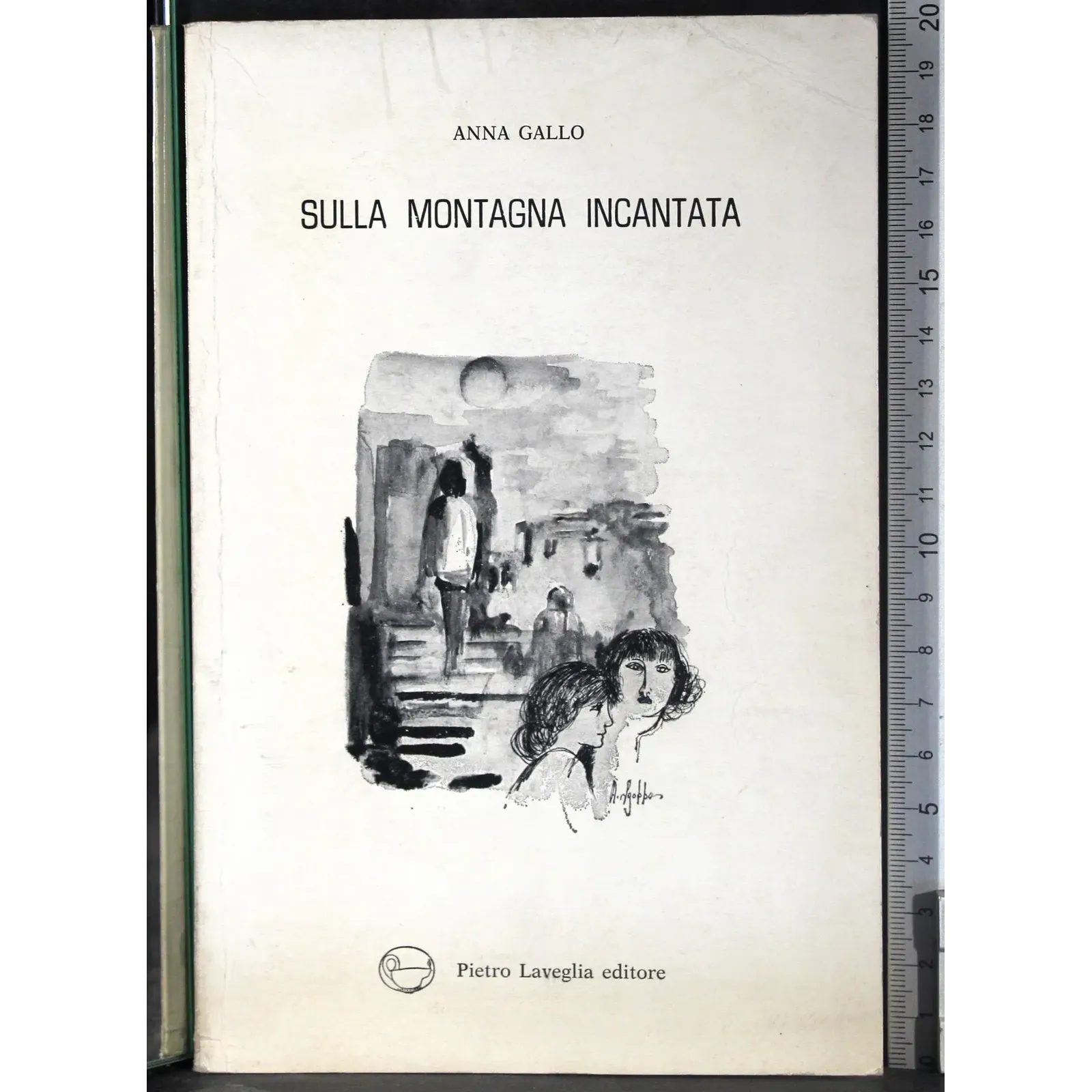 Sulla montagna incantata