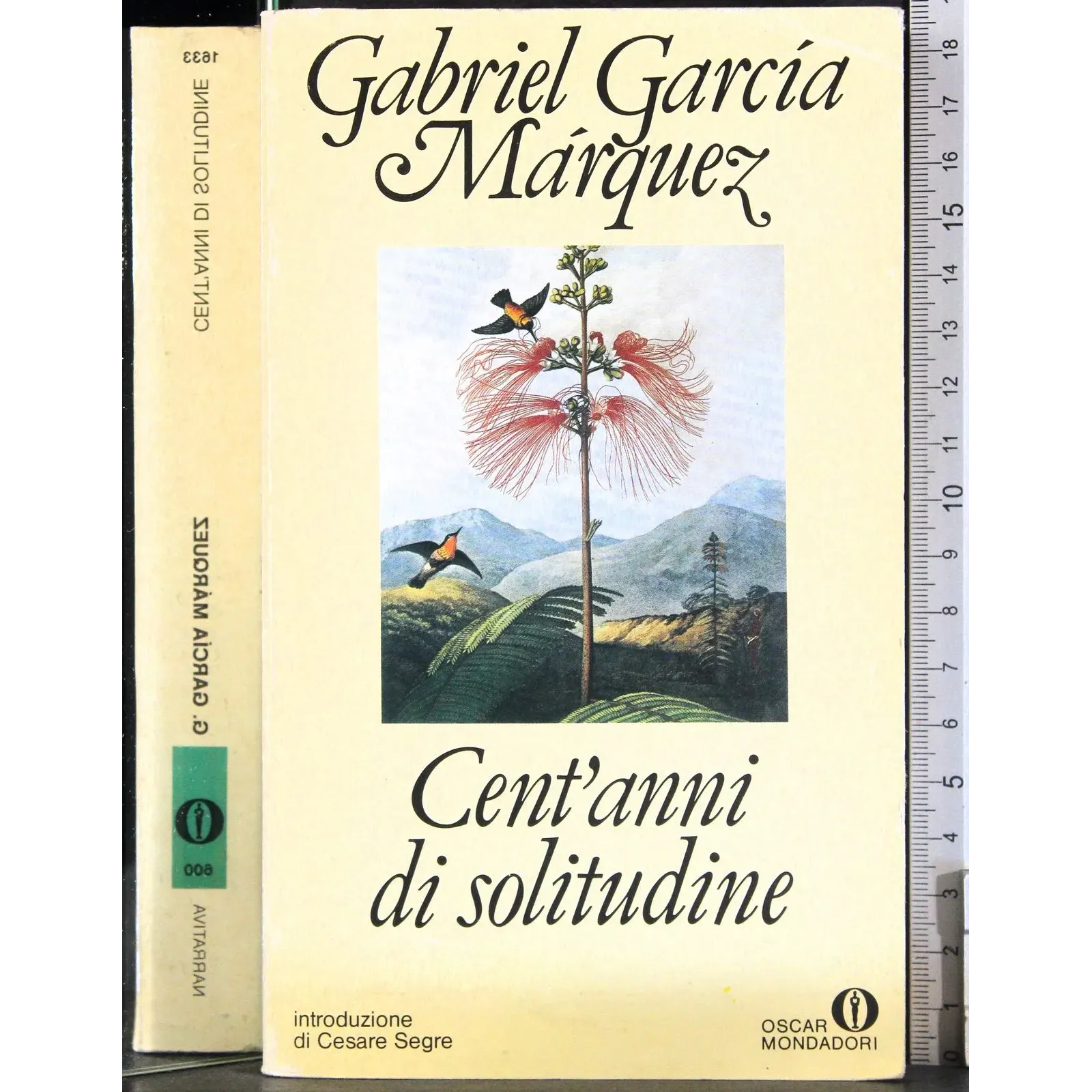 Cent'anni di solitudine