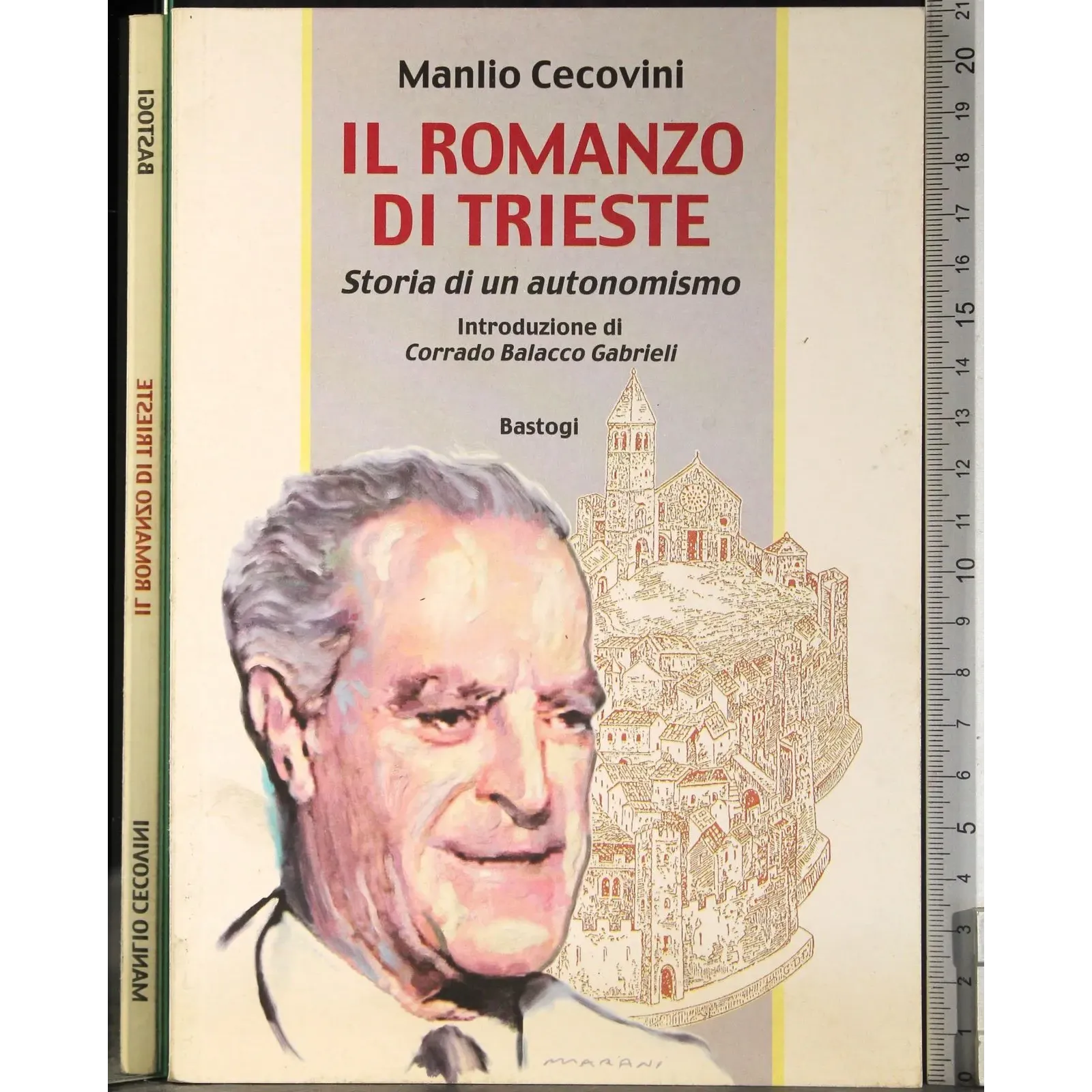 Il romanzo di trieste