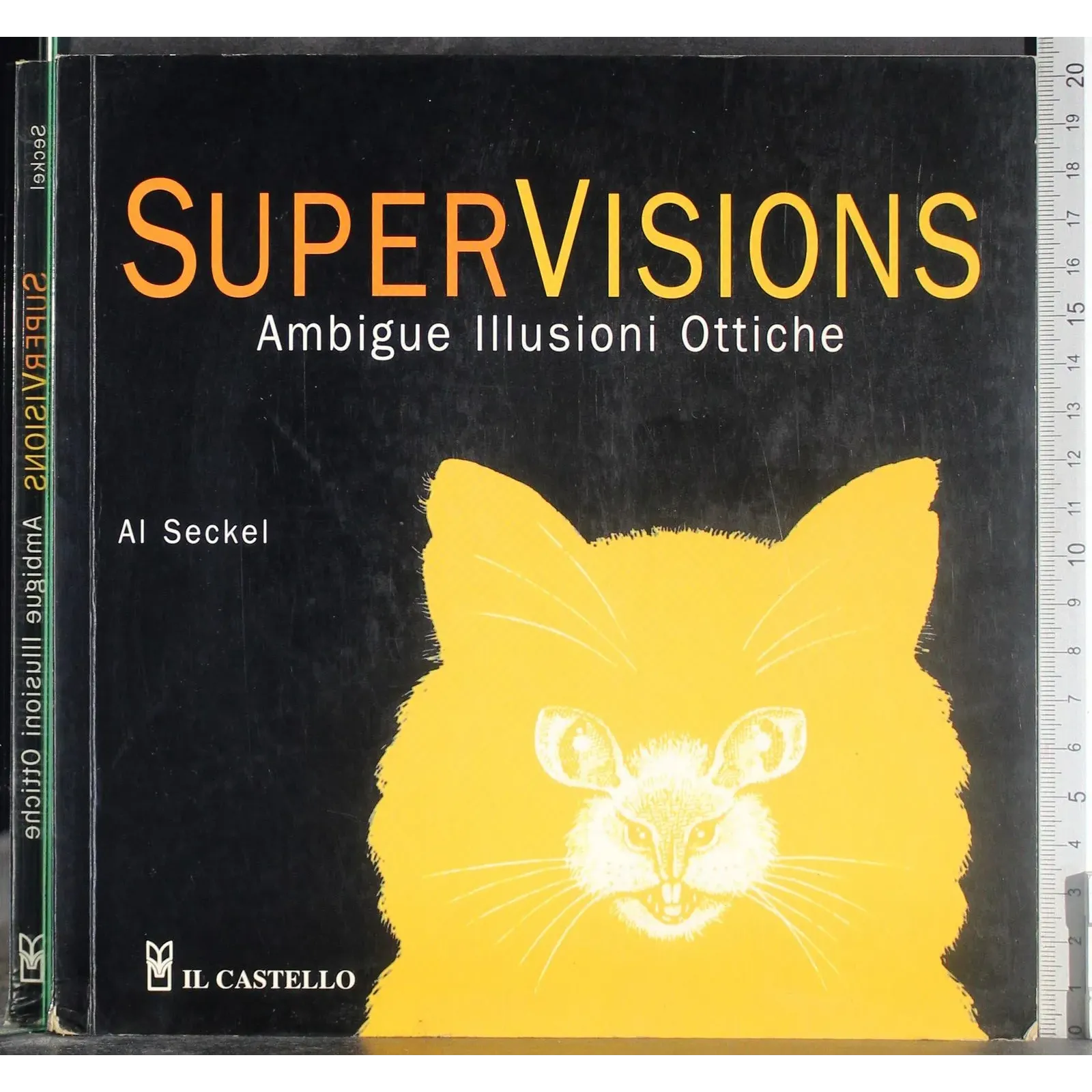 Supervisions