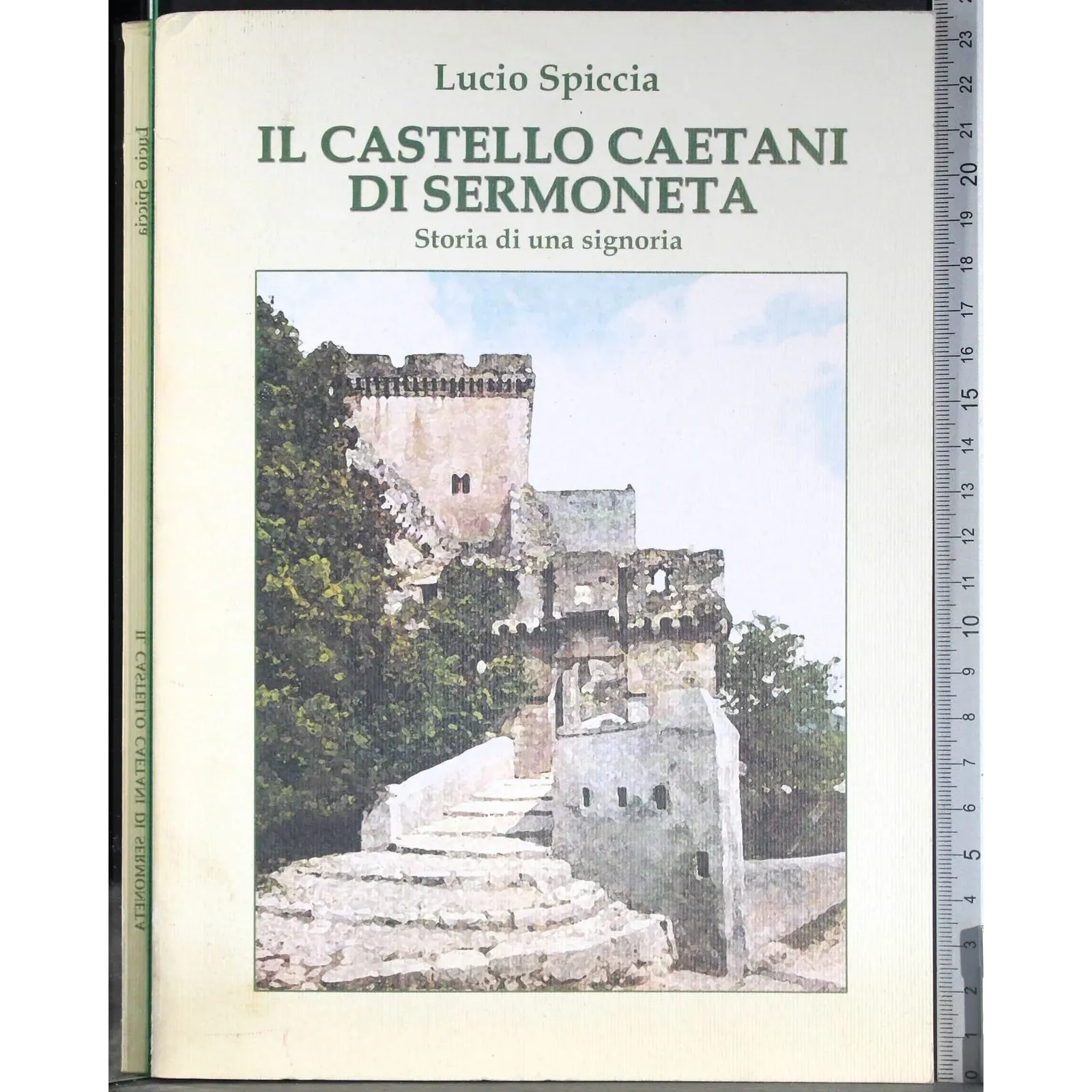 Il castello caetani di Sarmoneta
