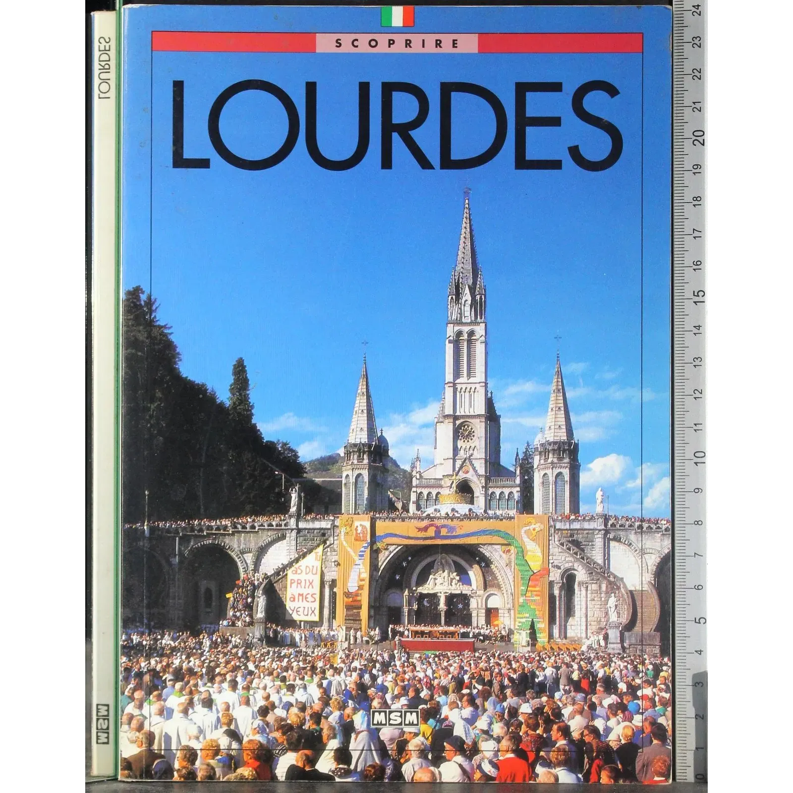 Scoprire Lourdes