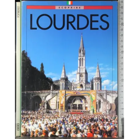 Scoprire Lourdes