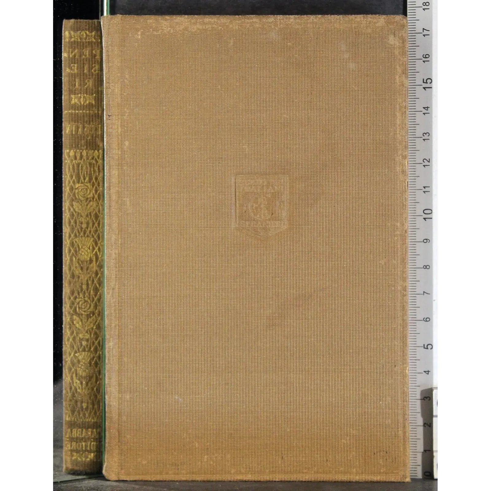 Scrittori italiani e stranieri. Il pensiero di Ruskin
