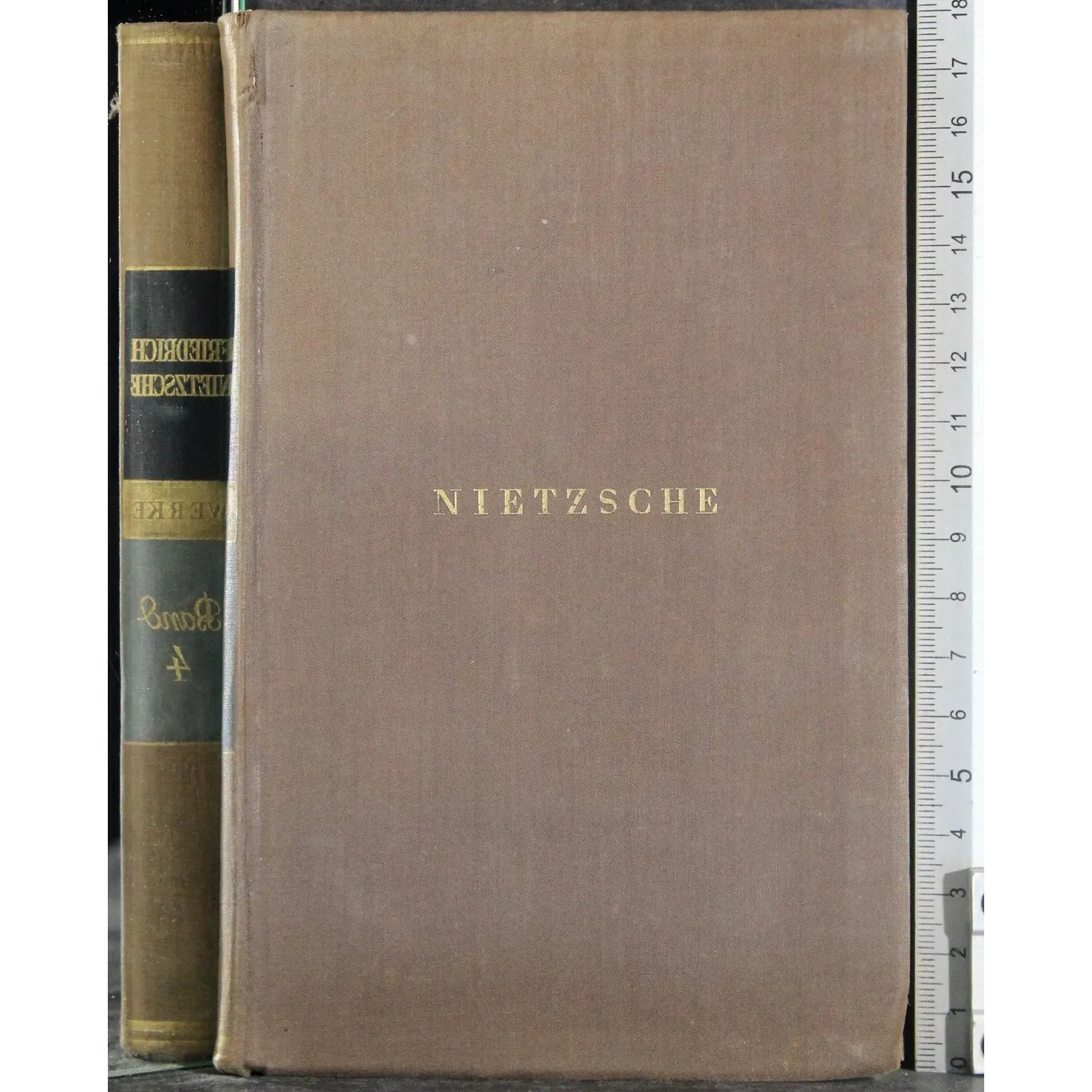 Friedrich Nietzsche Werke