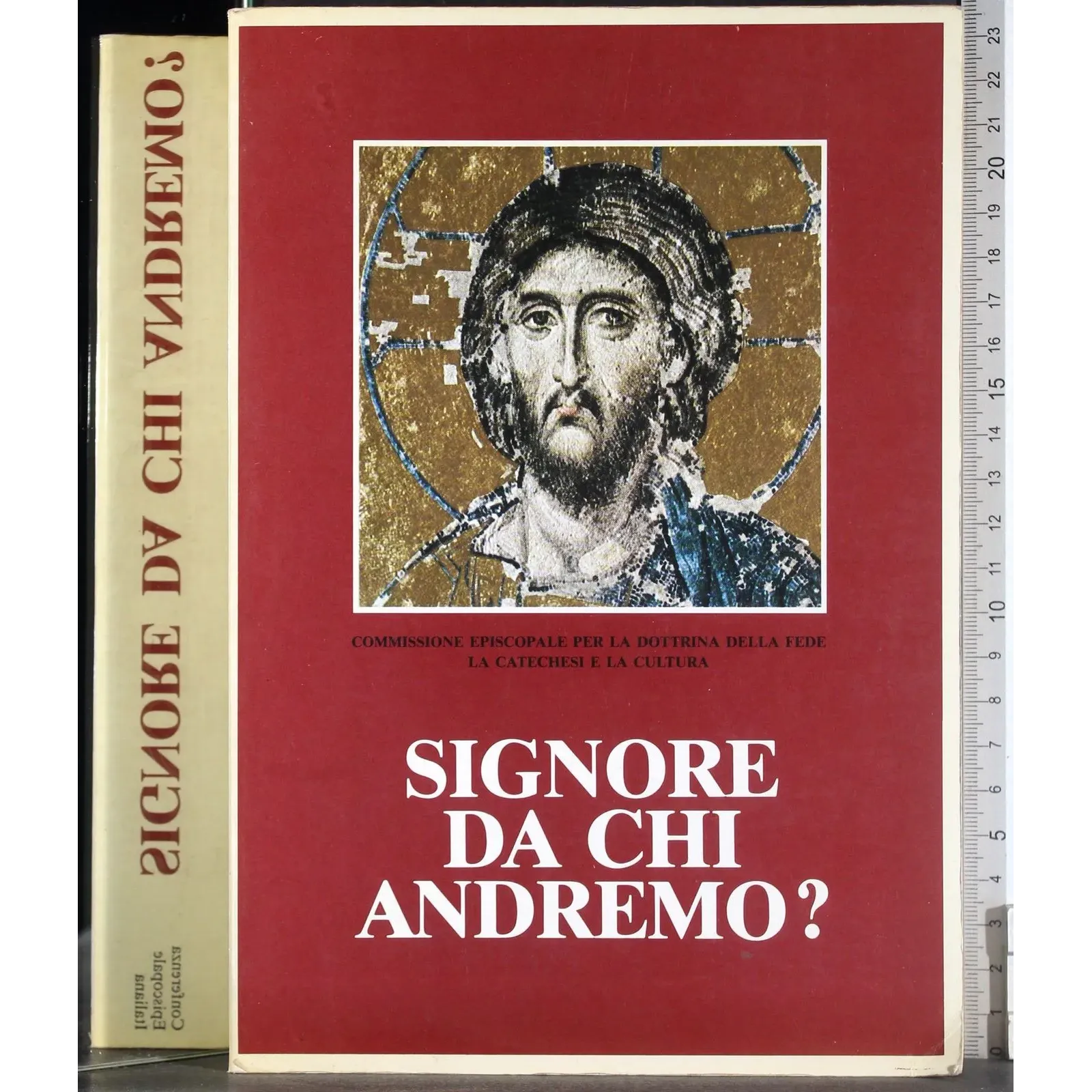 Signore da chi andiamo?