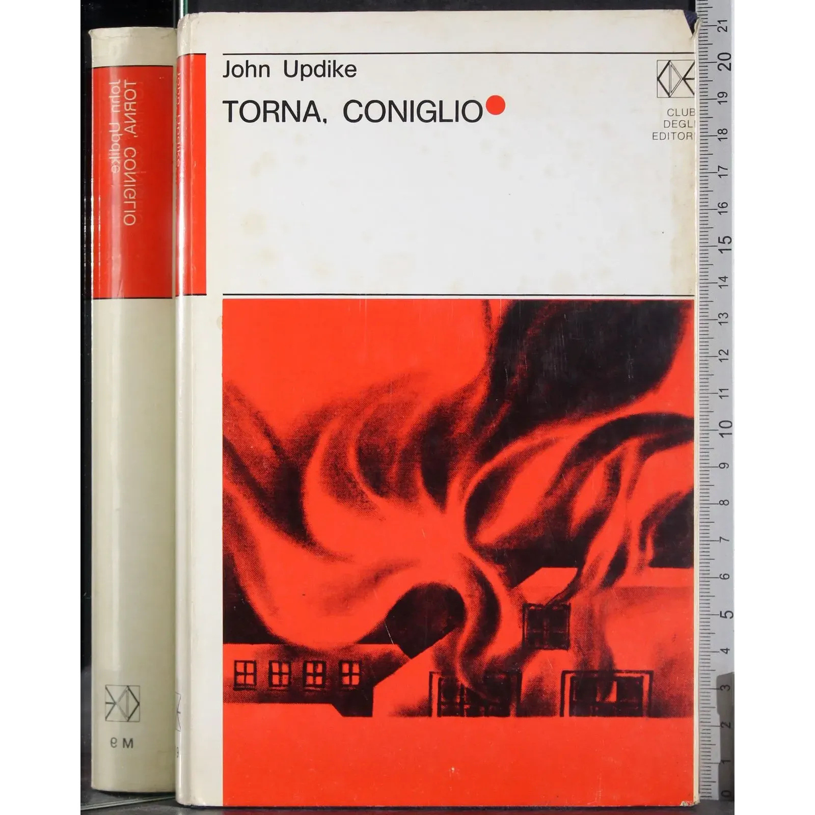 Torna coniglio