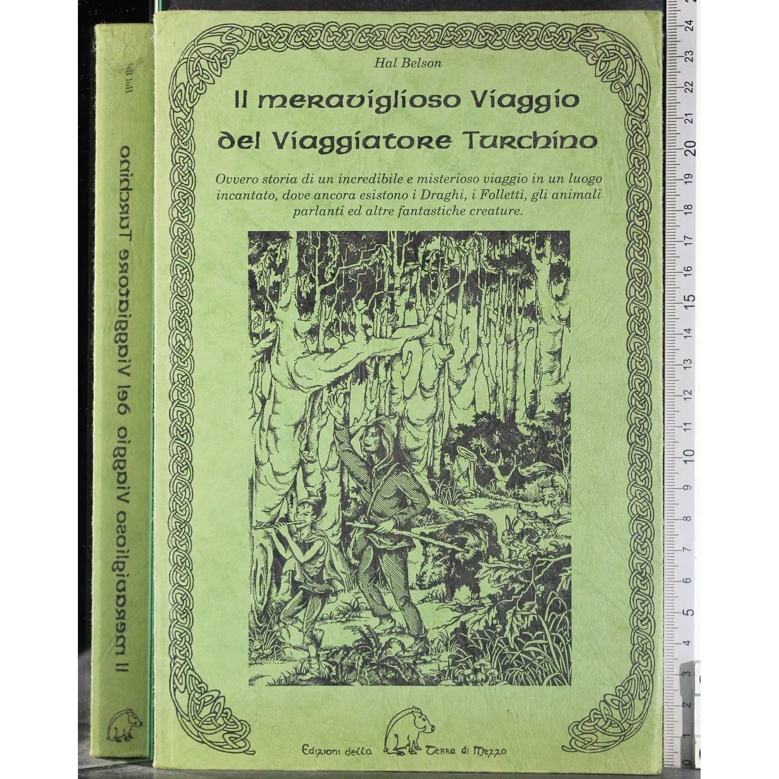 Il meraviglioso Viaggio del viaggiatore Turchino