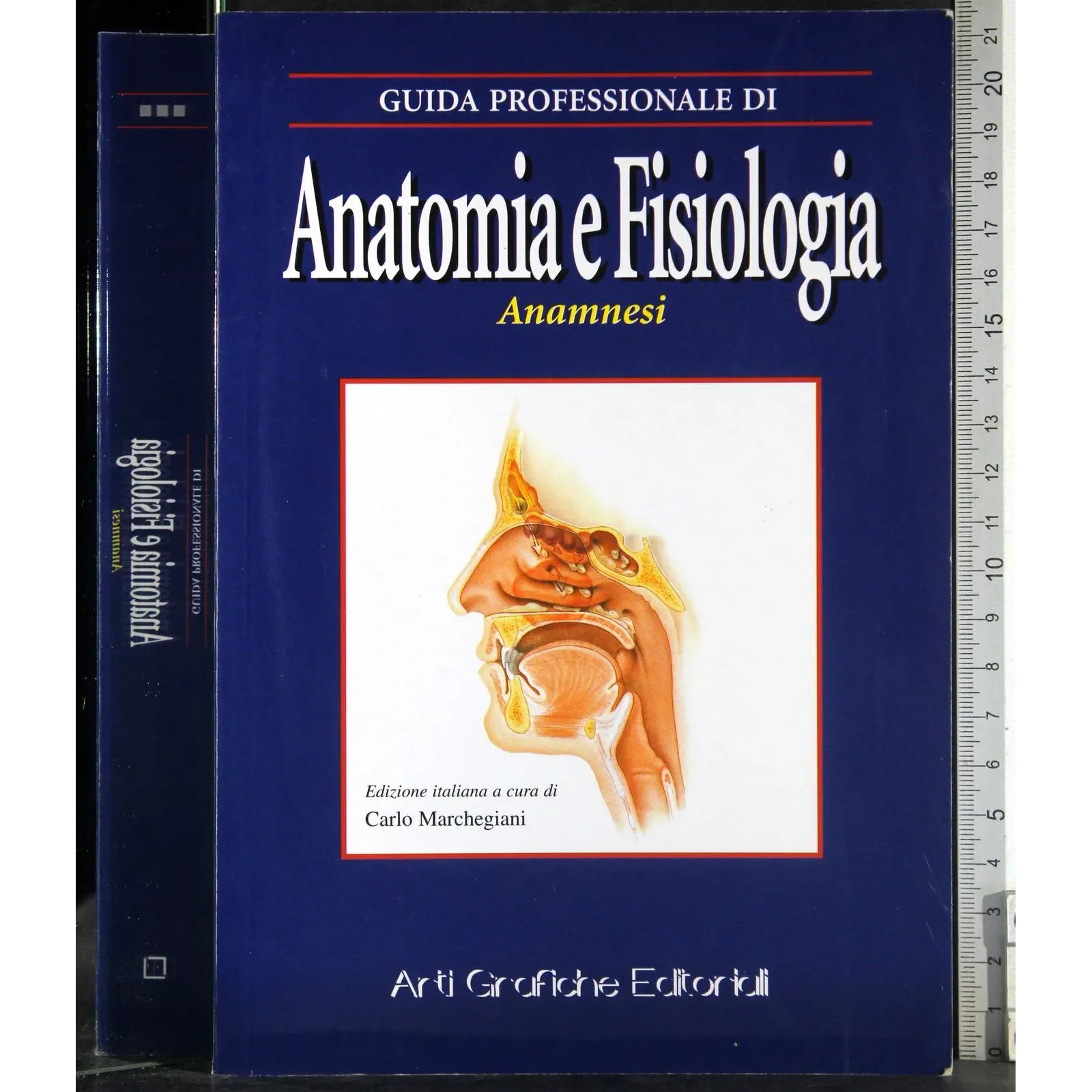 Anatomia e filosofia. Anamnesi