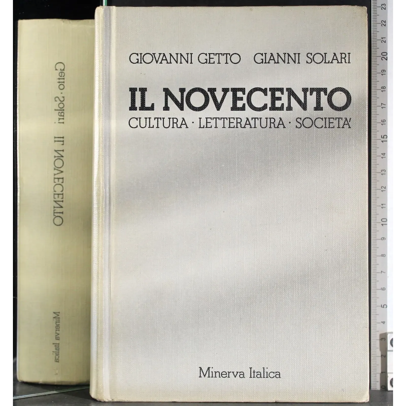 Il novecento. Cultura letteratura società