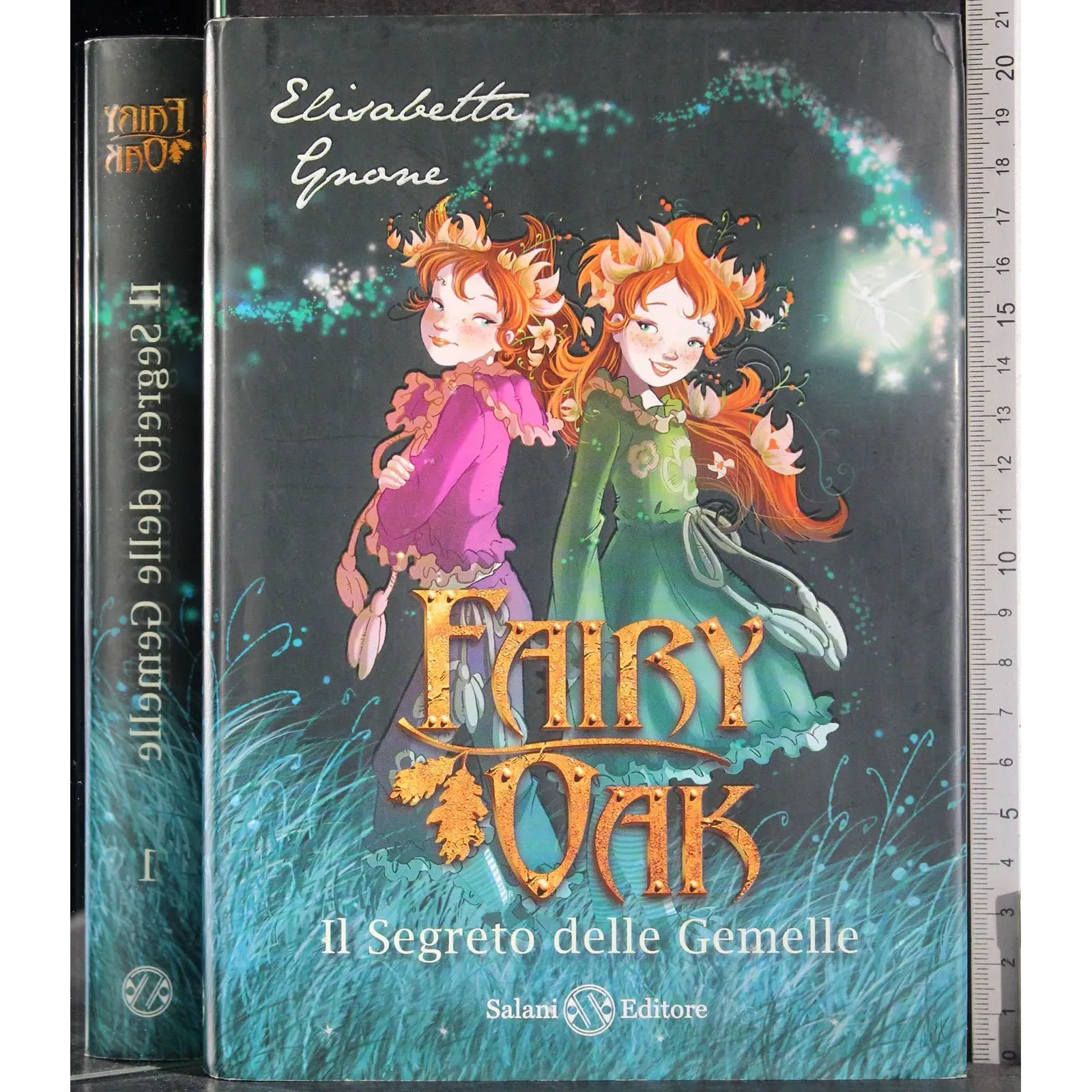 Fairy Oak. Il segreto delle Gemelle Libro I