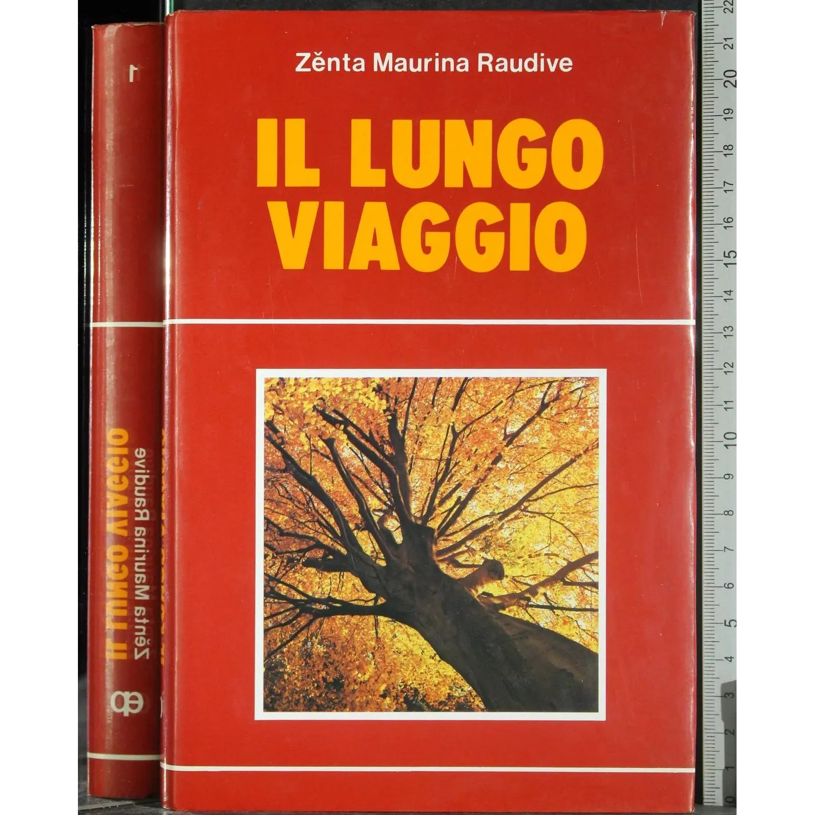 Il lungo viaggio