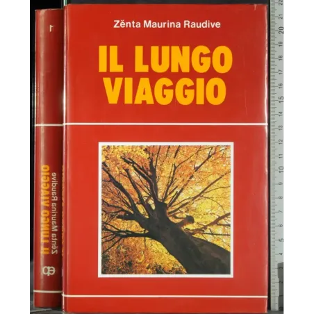 Il lungo viaggio