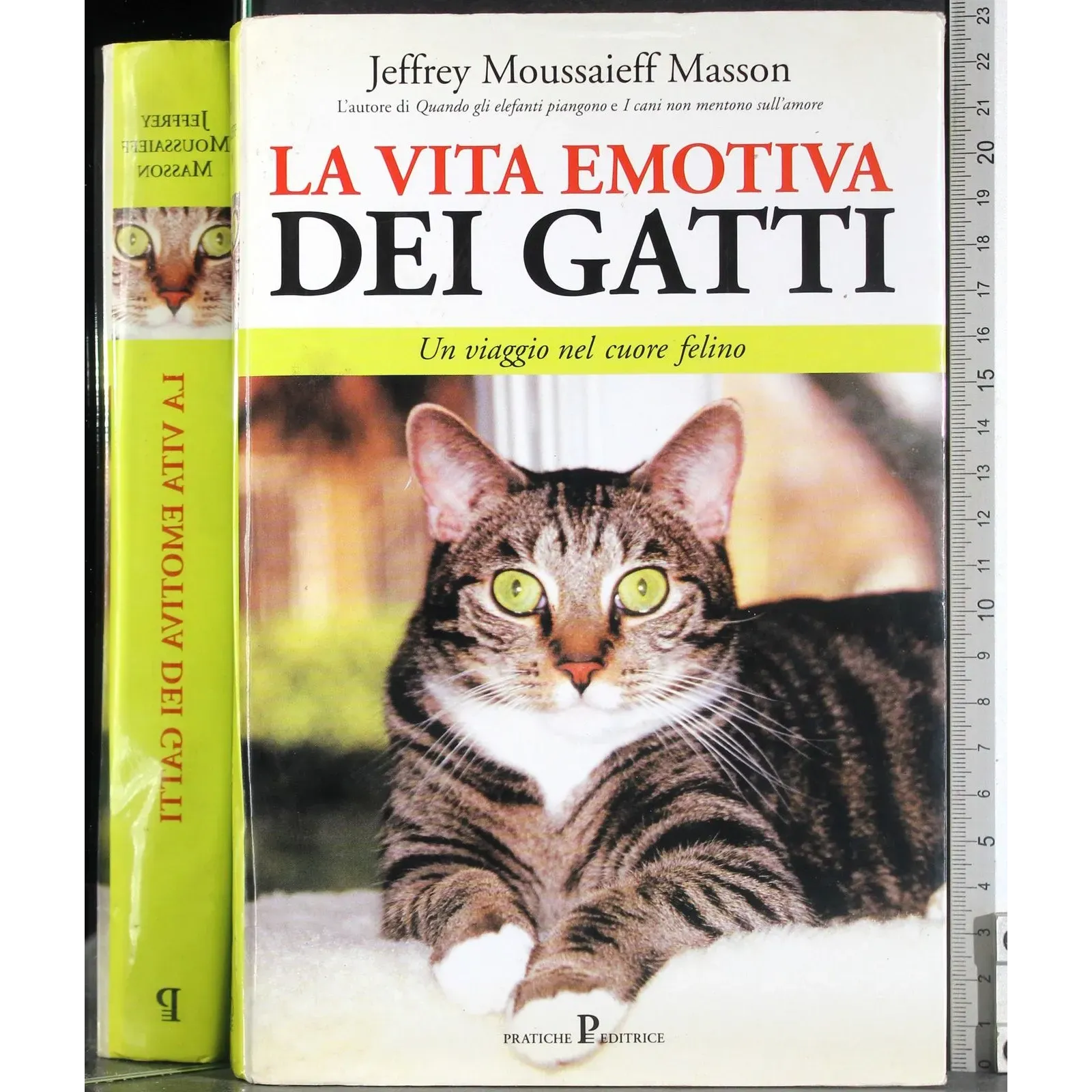 La vita emotiva dei gatti