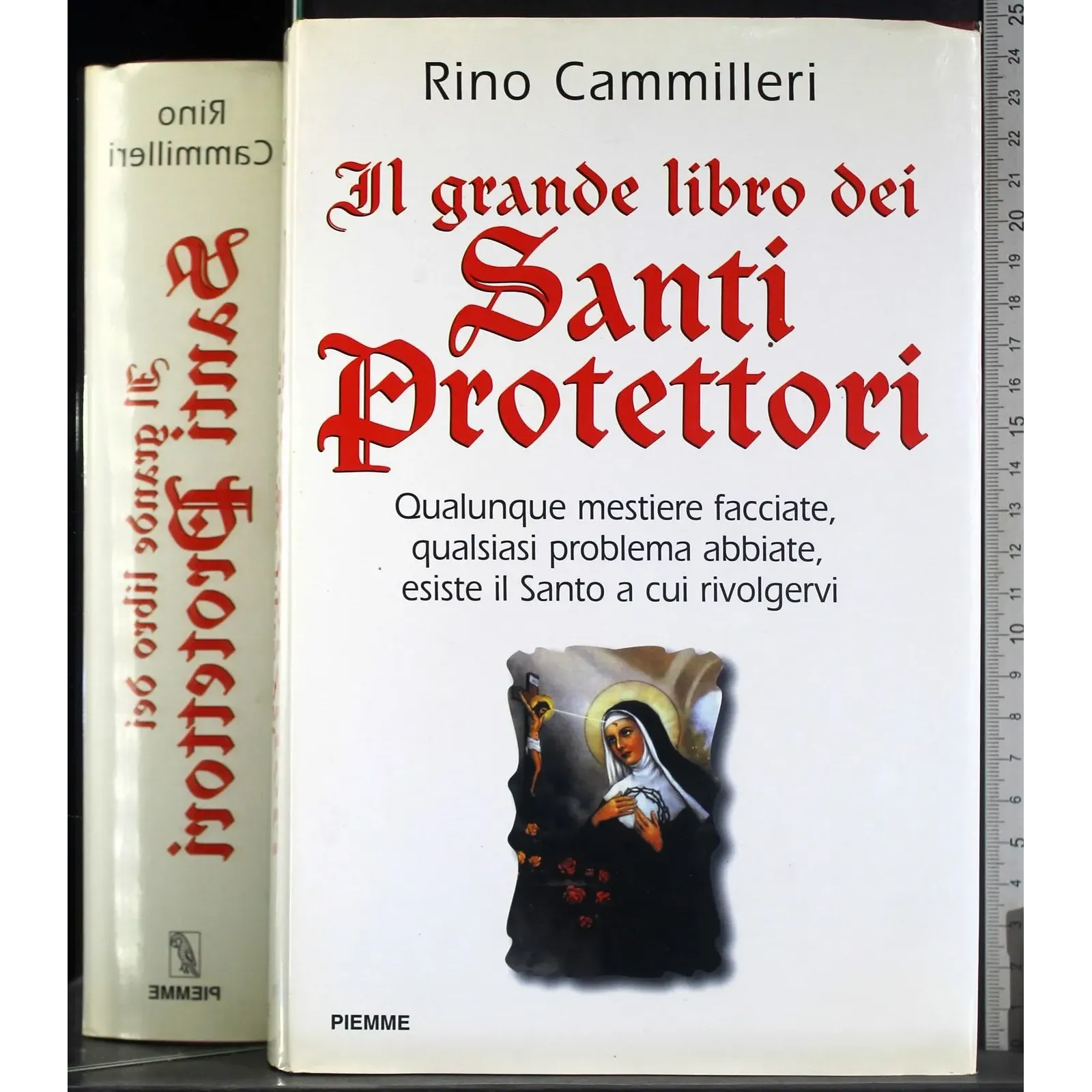Il grande libro dei Santi Protettori