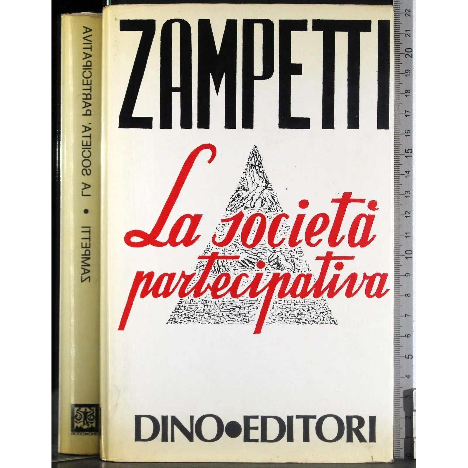 La società partecipativa