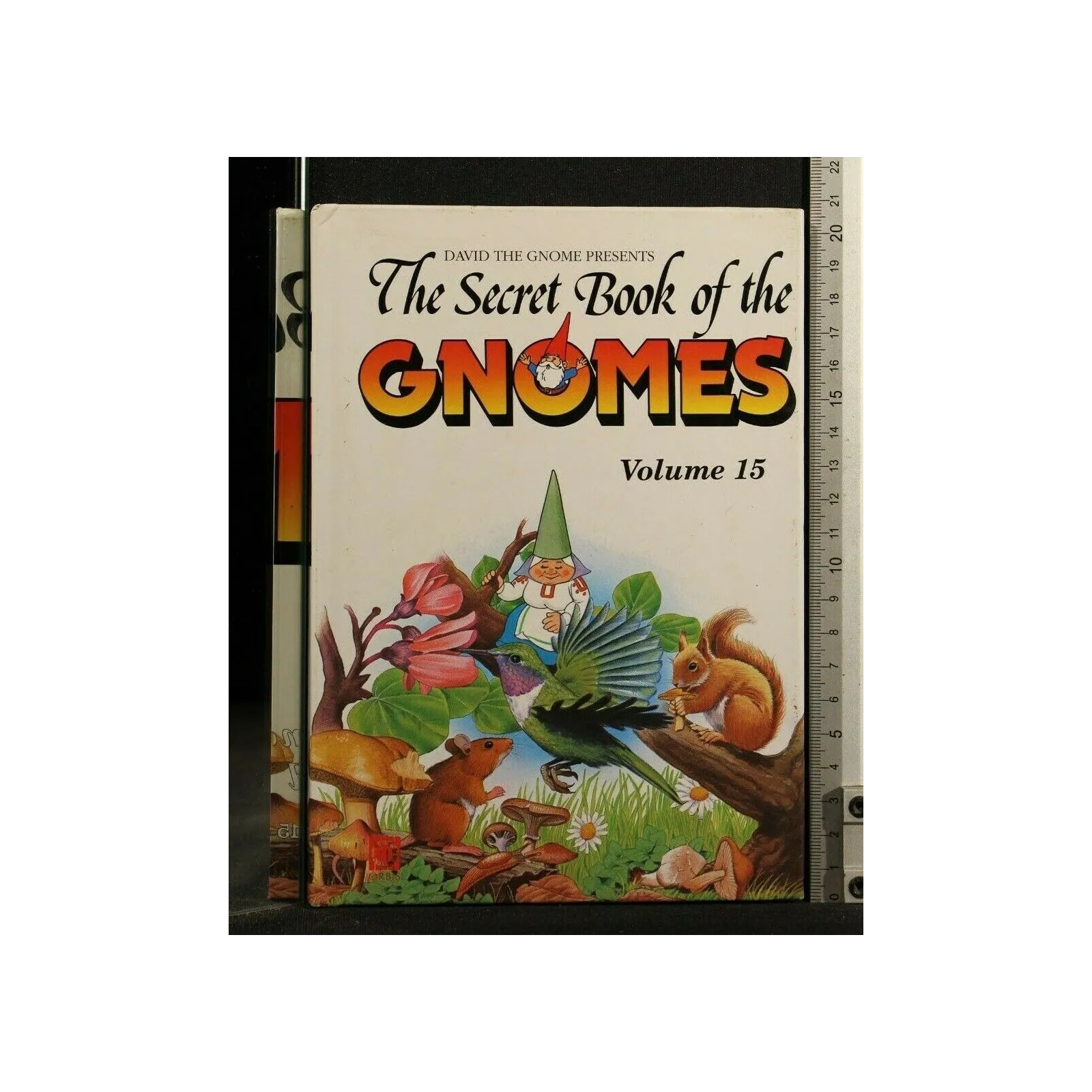 THE SECRET BOOK OF THE GNOMES VOL 15