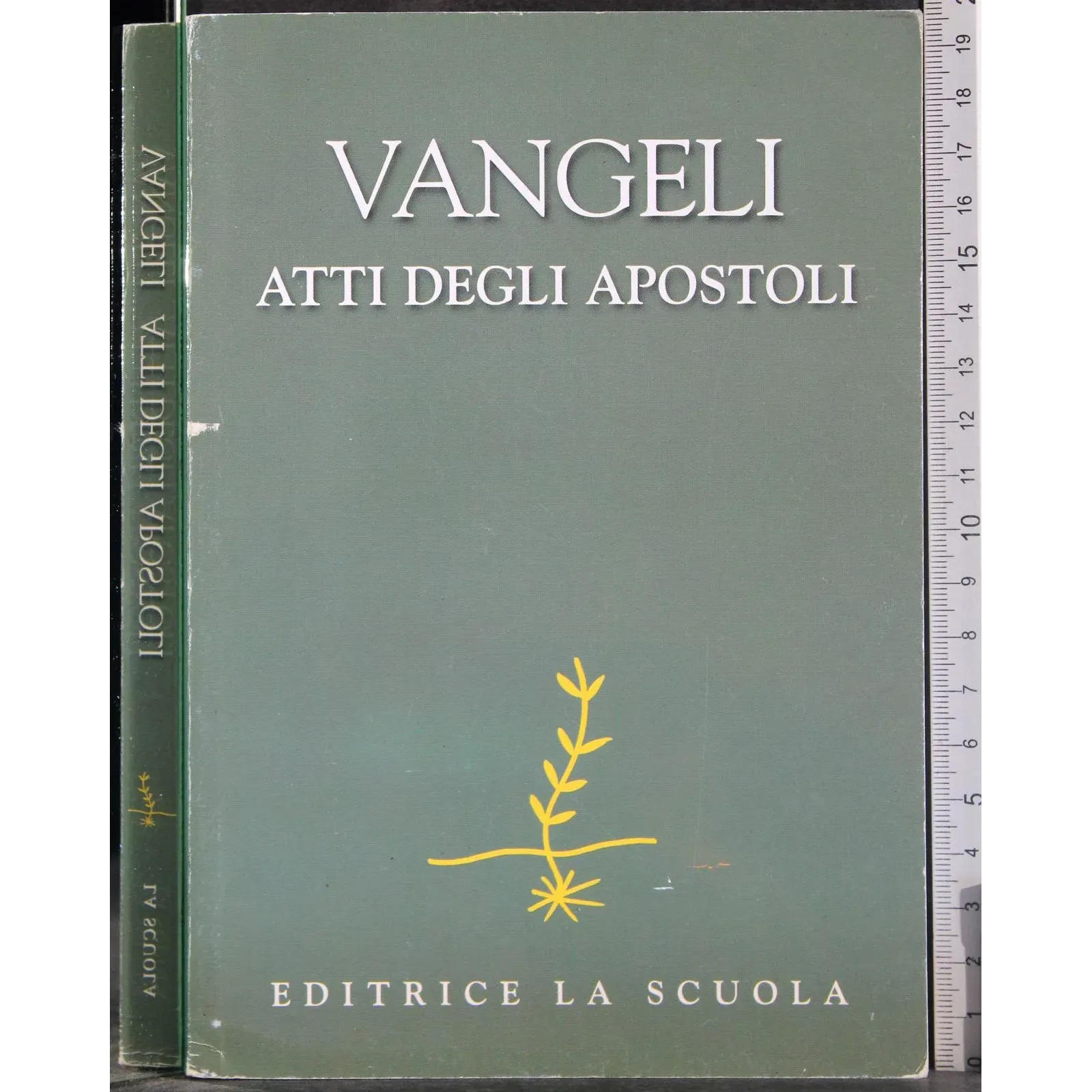 Vangeli atti degli apostoli