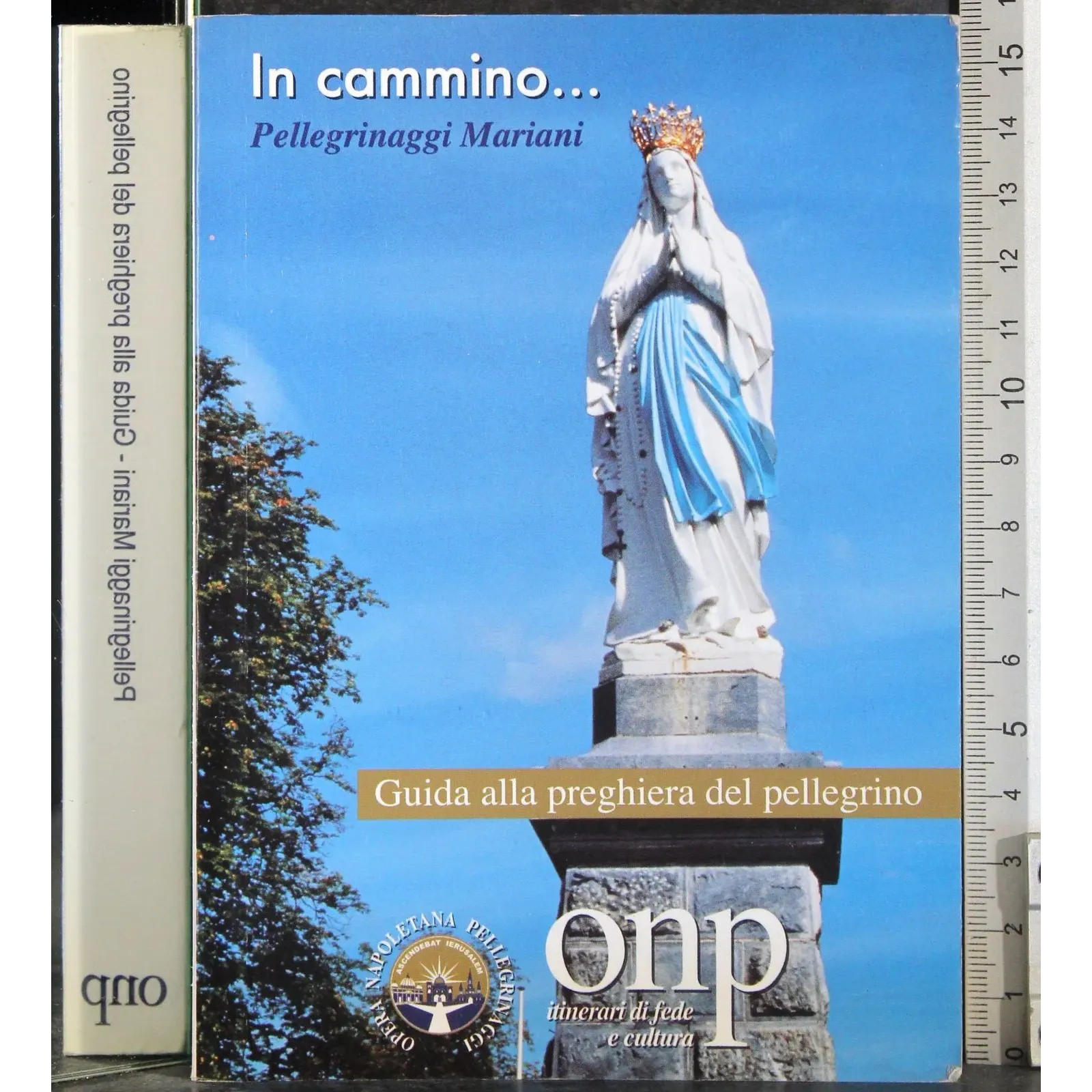 Il cammino. Guida alla preghiera del pellegrino