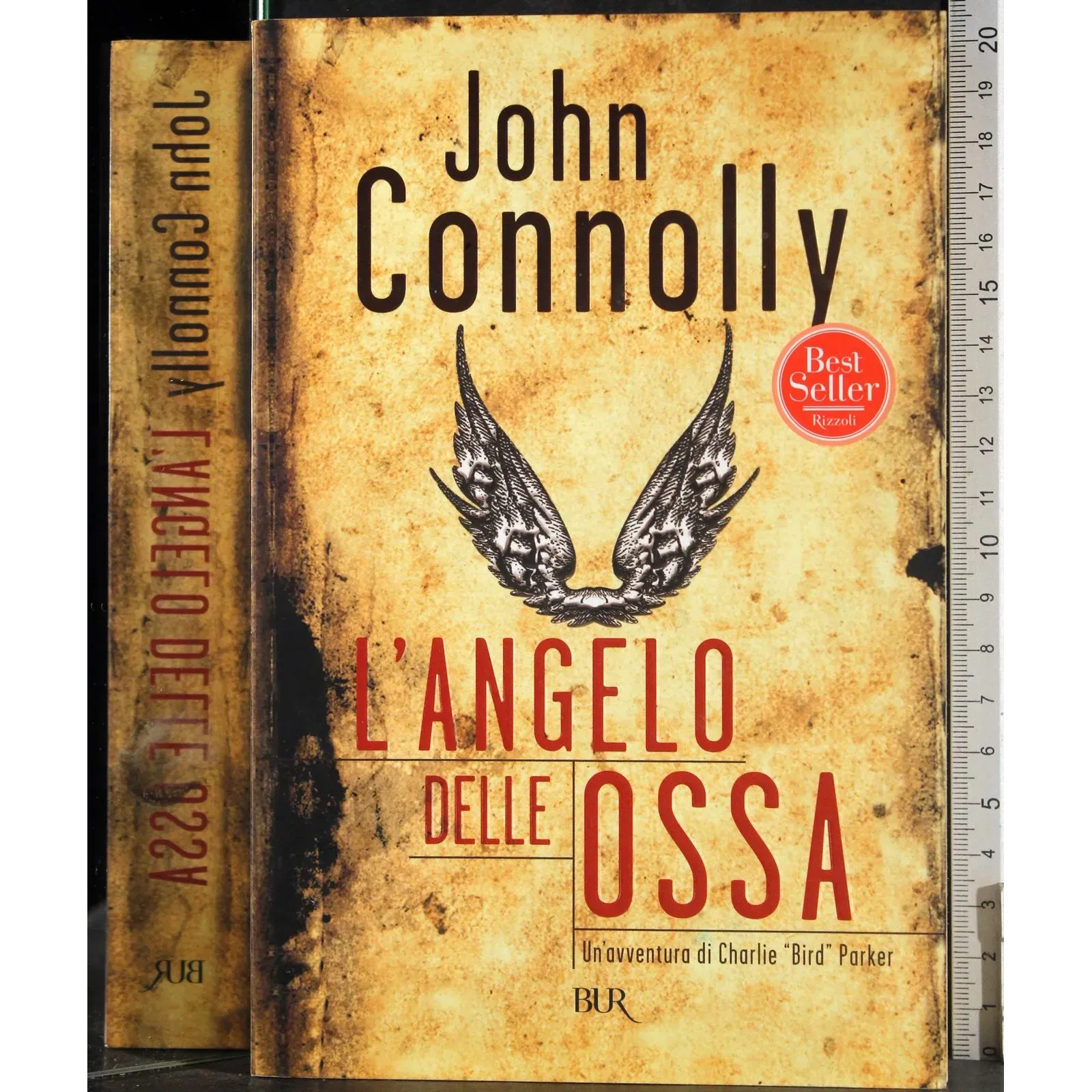 L'angelo delle ossa