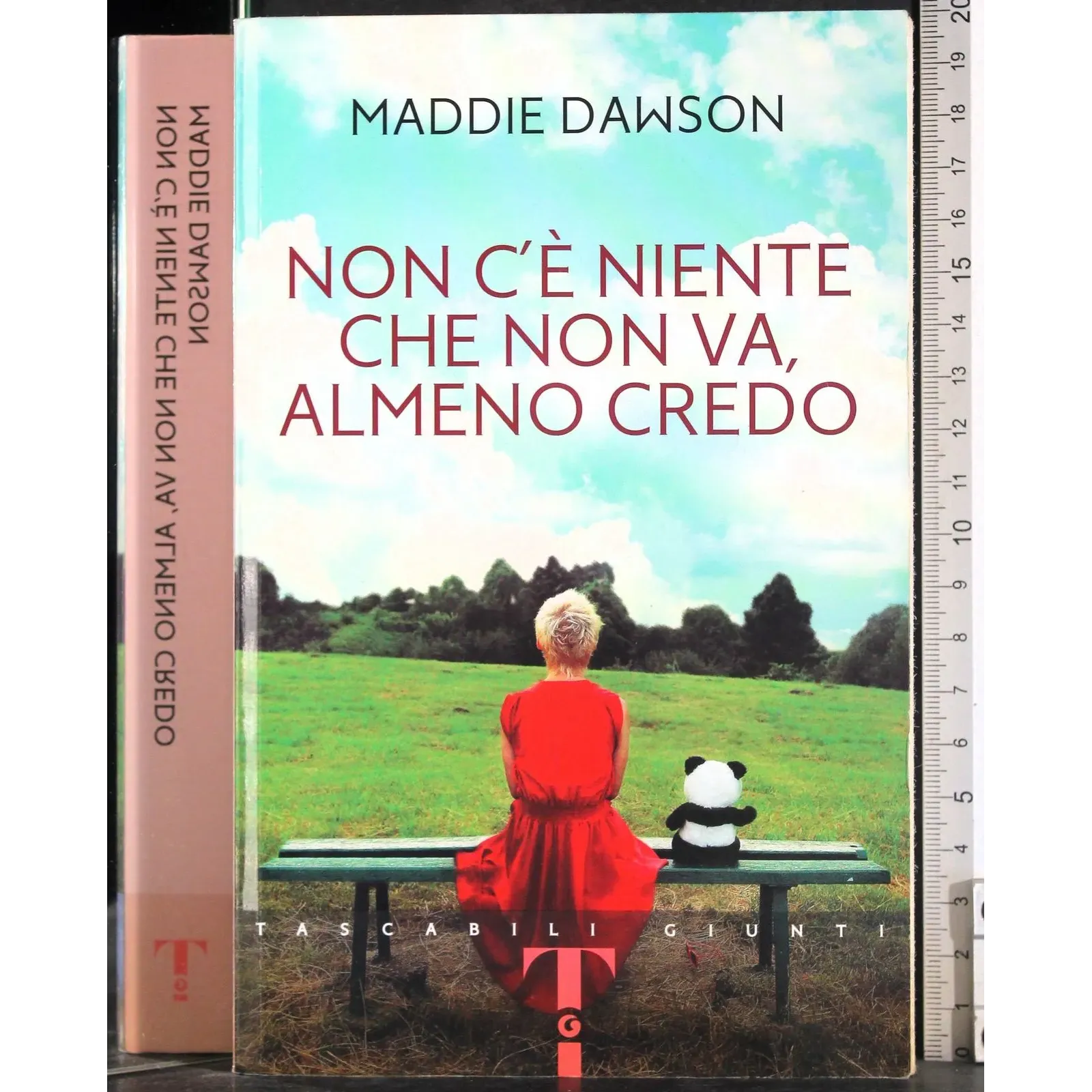 Non c'è niente che non va, almeno credo