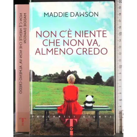 Non c'è niente che non va, almeno credo