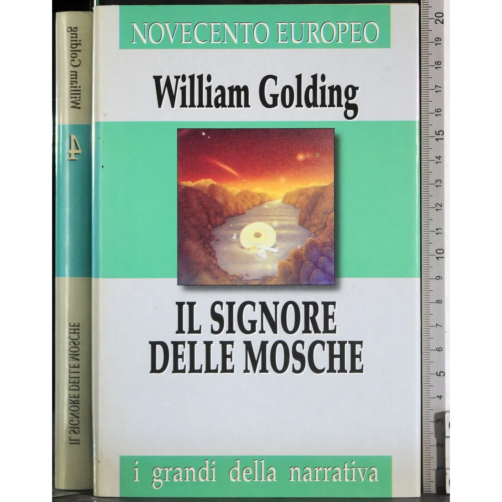 Il signore delle mosche
